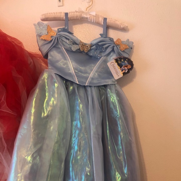 Live Action Cinderella Costume - Picture 1 of 1